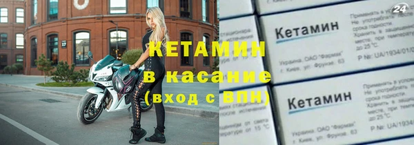 индика Карпинск
