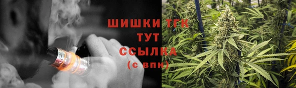 индика Карпинск