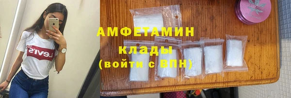 индика Карпинск