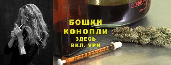 индика Карпинск