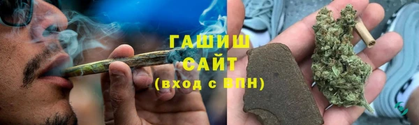 индика Карпинск