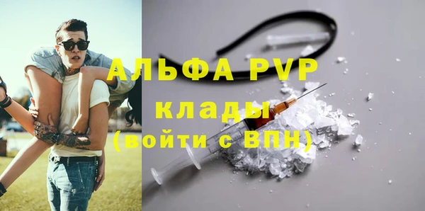 эйфоретик Каменногорск