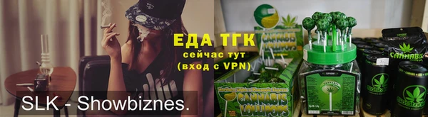 индика Карпинск