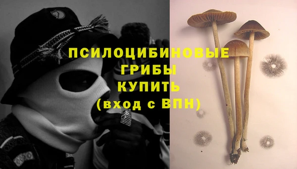 гашик Карталы