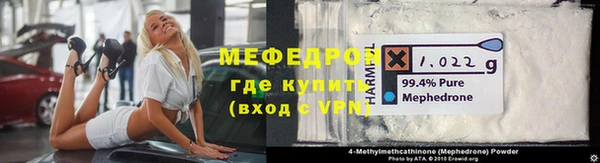индика Карпинск