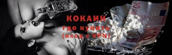 индика Карпинск
