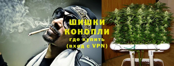 гашик Карталы