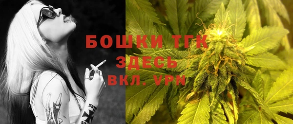 эйфоретик Каменногорск