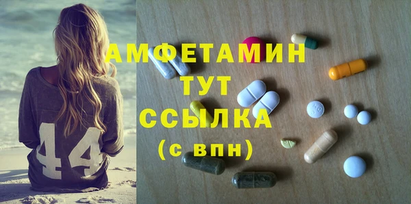 индика Карпинск
