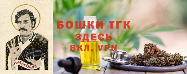 индика Карпинск