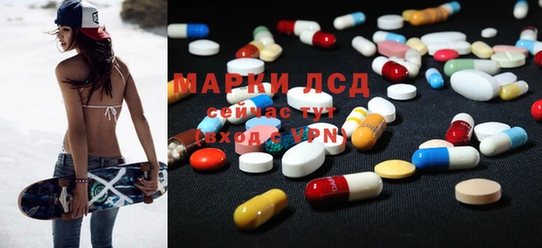 индика Карпинск