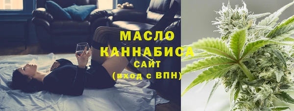 индика Карпинск