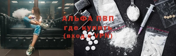 прущие грибы Каменск-Шахтинский