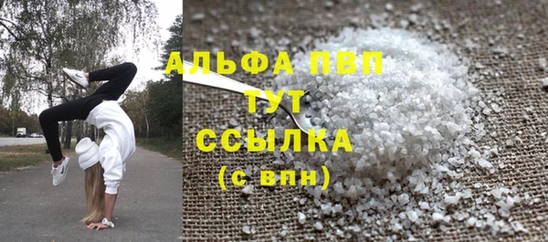 индика Карпинск